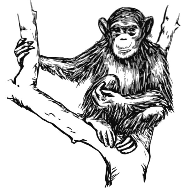 SVG Grayscale chimpanzee