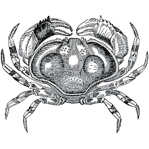 SVG Grayscale crab