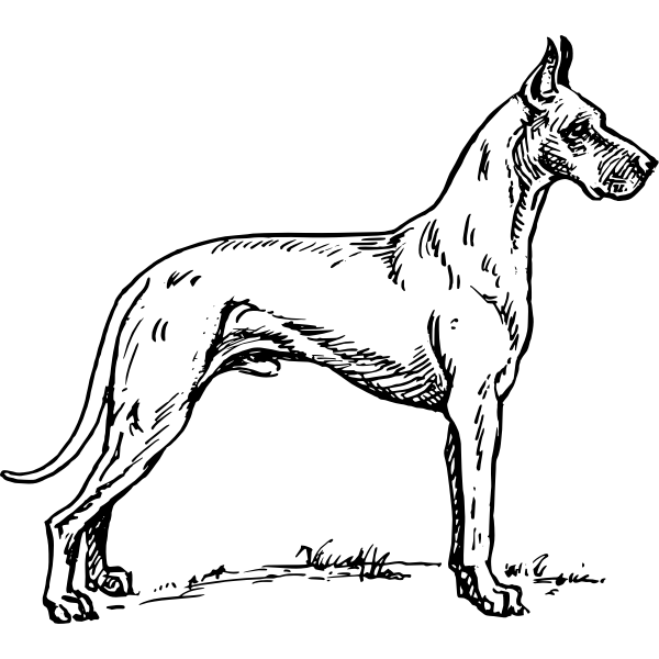 SVG Great dane image