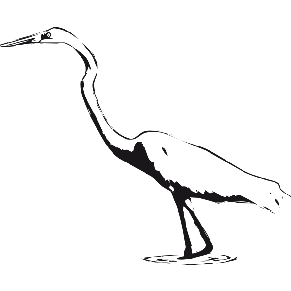 SVG Great Egret vector clip art