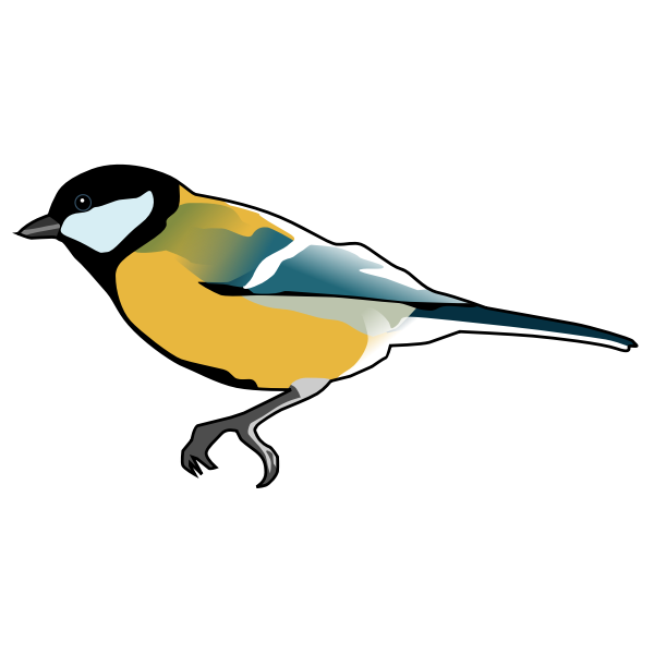 SVG Great Tit bird drawing