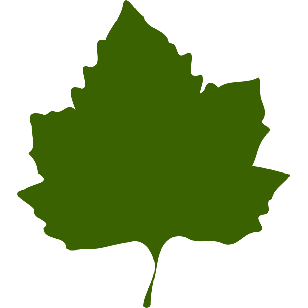 SVG Green autumn leaf vector drawing