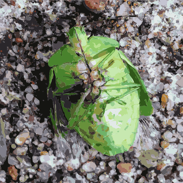 SVG Green belly bug