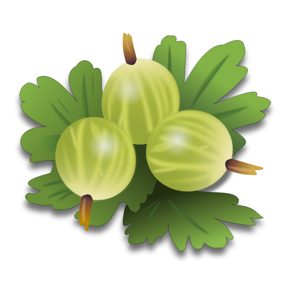 SVG Green berries