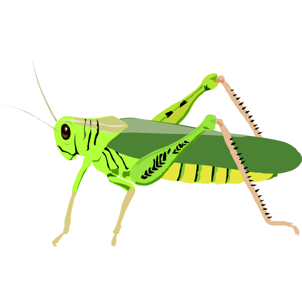 SVG Green bug