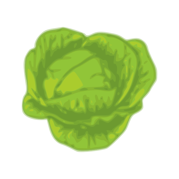 SVG Green cabbage