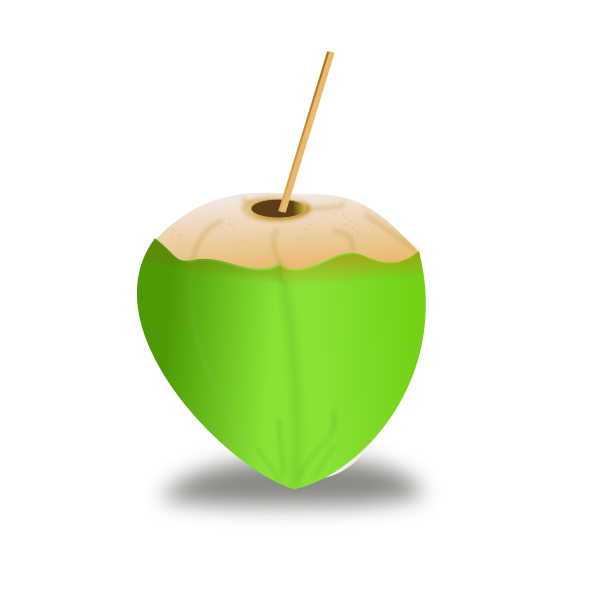SVG Green coconut vector image