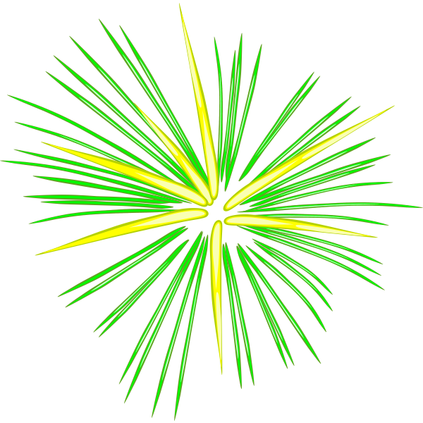 SVG Green fireworks vector image
