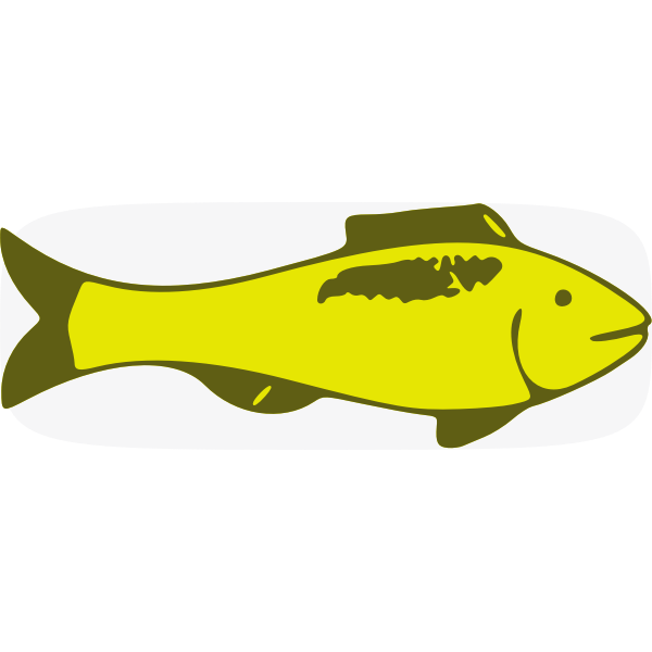 SVG Green fish vector image
