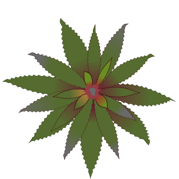SVG Green flower Bromelia