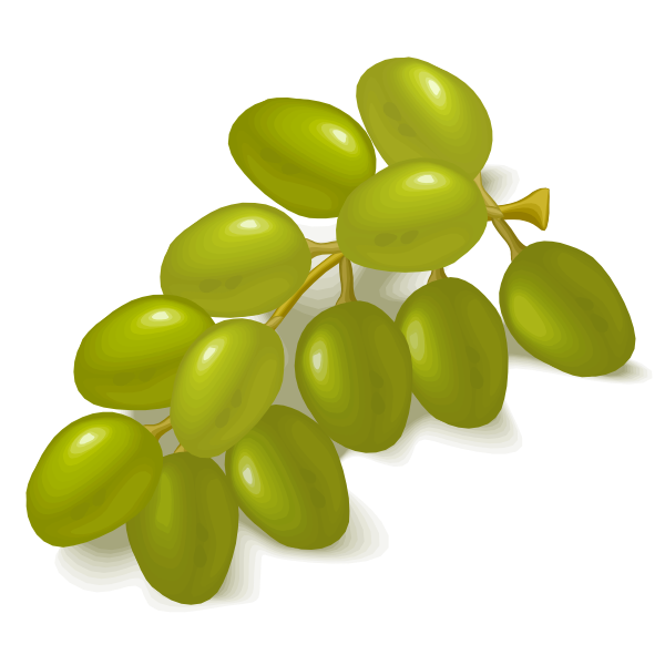 SVG Green grapes image
