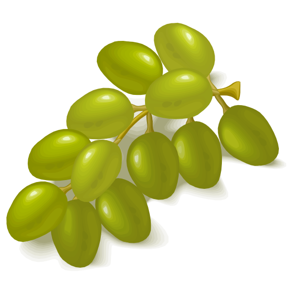 SVG Green grapes vector image