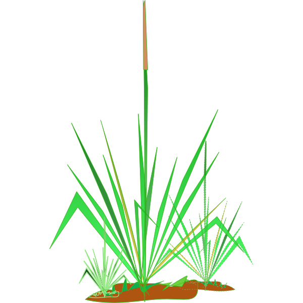 SVG Green grass plant