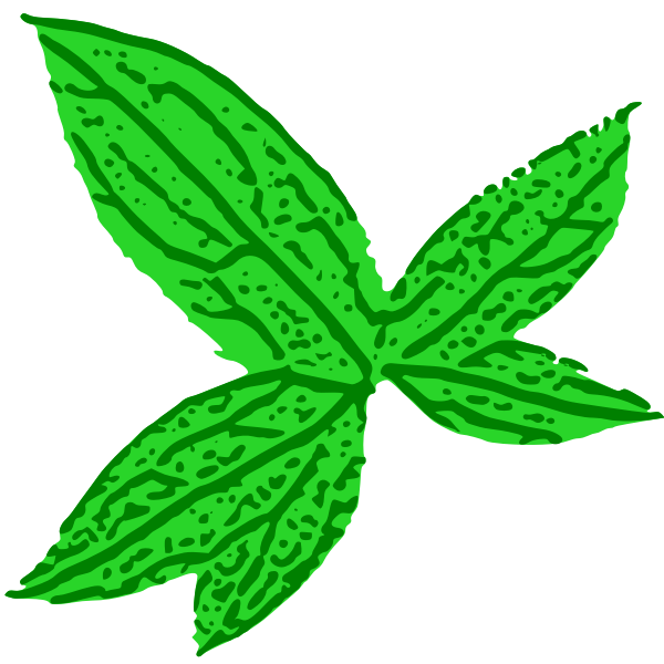 SVG Green Leaf