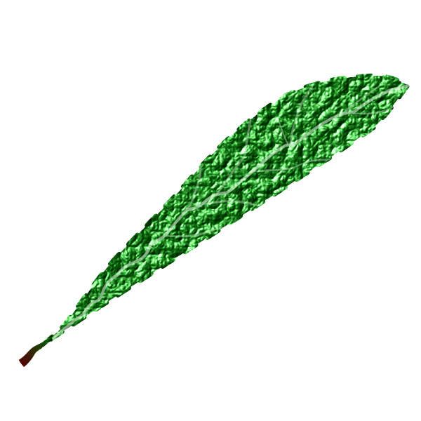 SVG Green leaf textured
