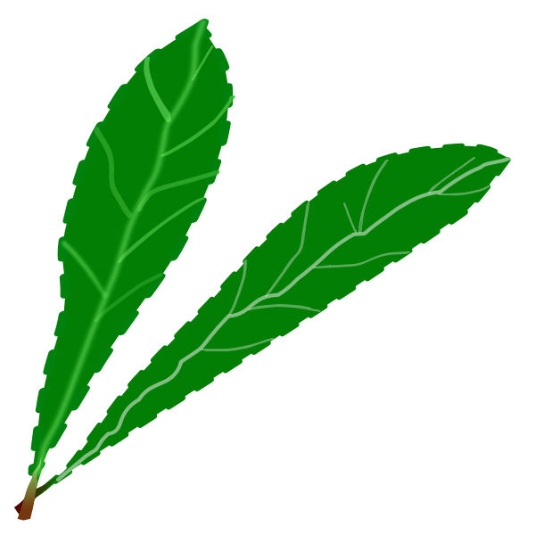 SVG Green leaves pair
