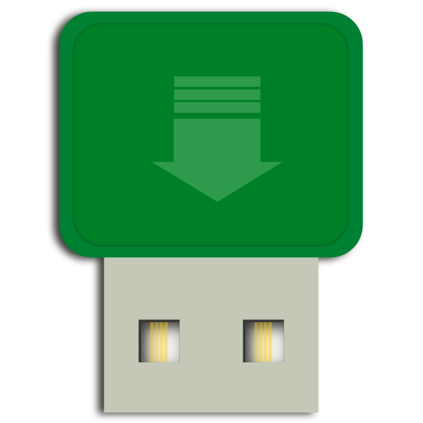 SVG Green mini flash drive vector image