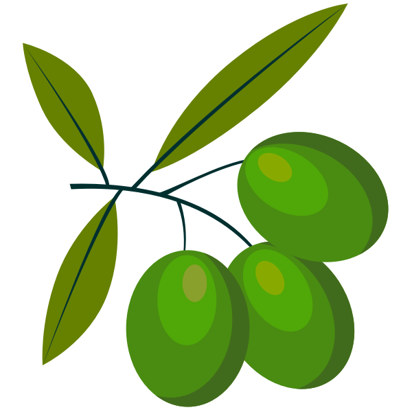 SVG Green olive fruit