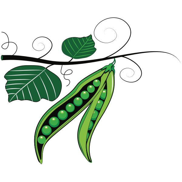 SVG Green peas