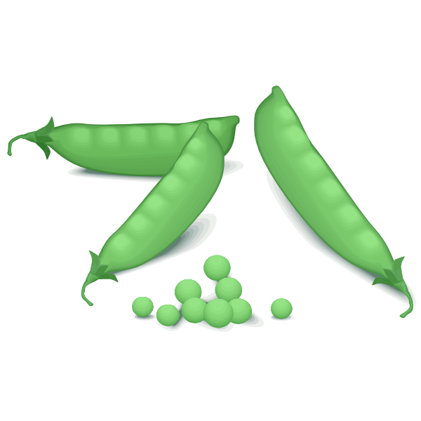 SVG Green peas vector image