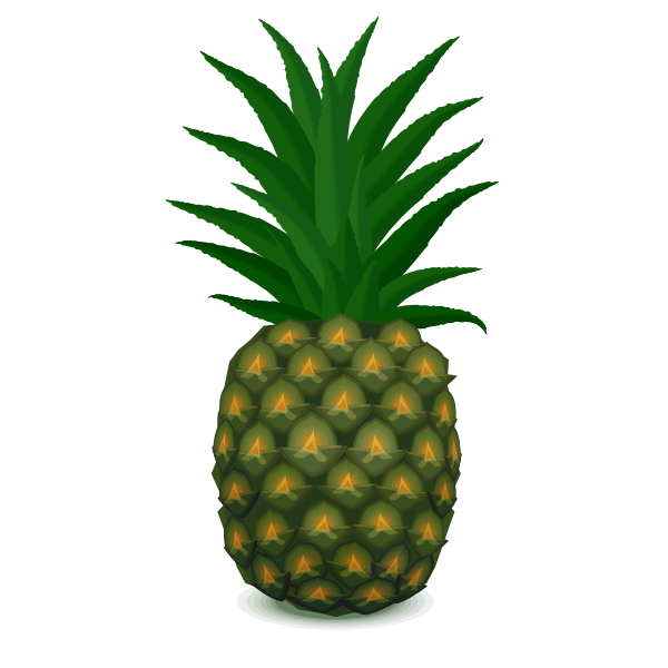SVG Green pineapple vector image