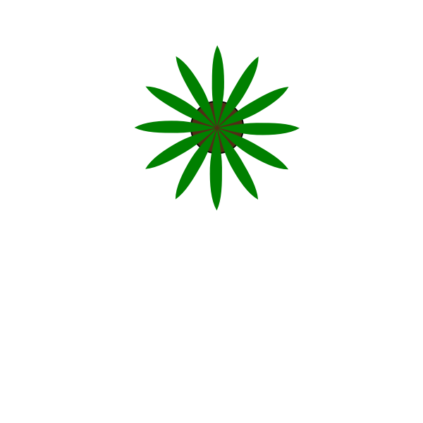 SVG Green plant top view vector drawing