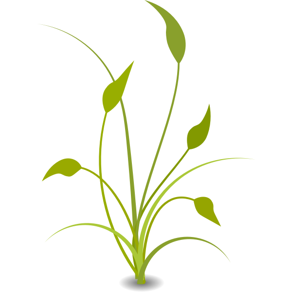 SVG Green plant with leaves