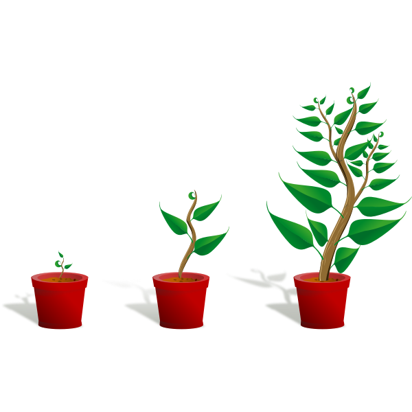 SVG Green plants in pots vector image