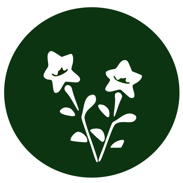 SVG Green plate