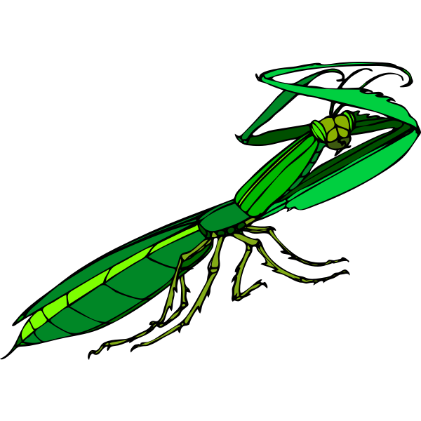 SVG Green praying mantis