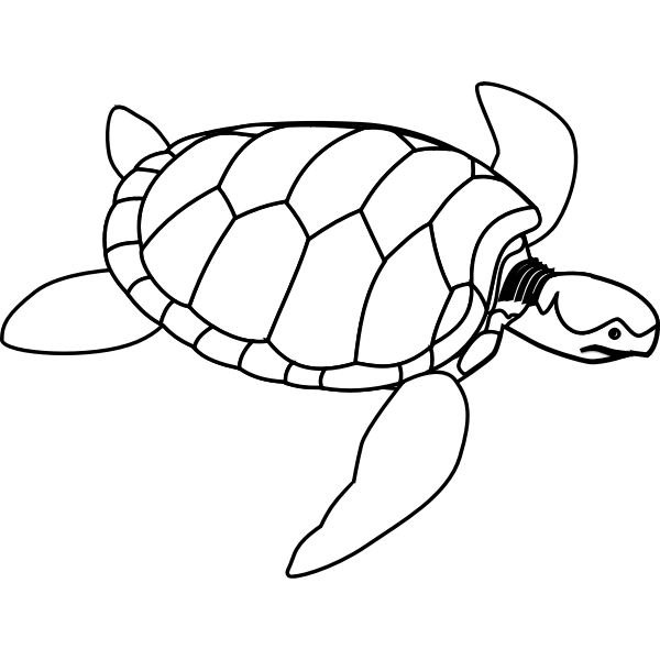 SVG Green sea turtle line art