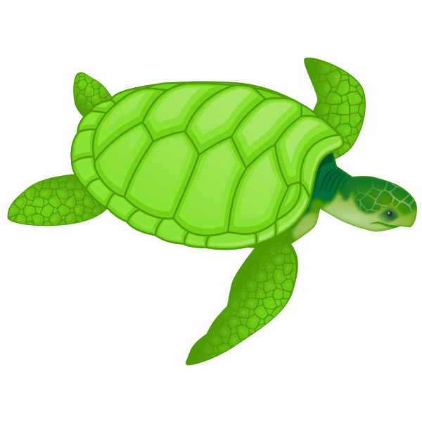 SVG Green sea turtle vector clip art