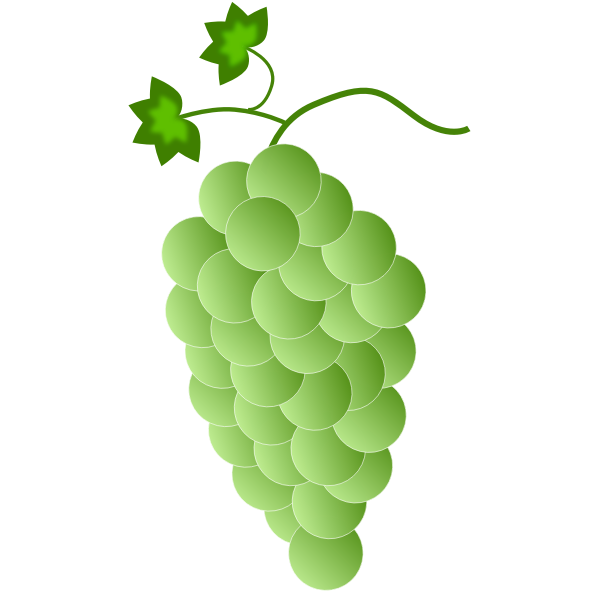 SVG Green-white grapes