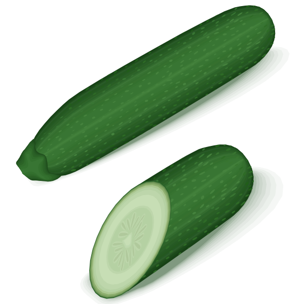 SVG Green zucchini