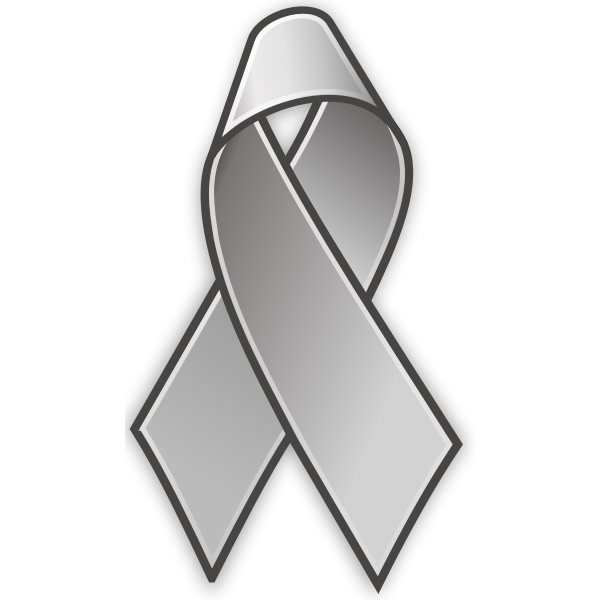 SVG Grey lace pin vector image
