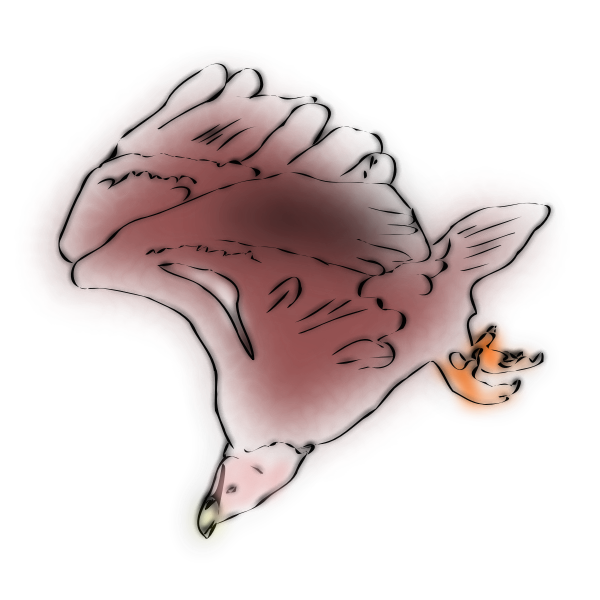 SVG Griffon Vulture Sketch
