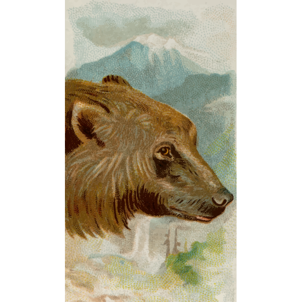 SVG Grizzly bear image