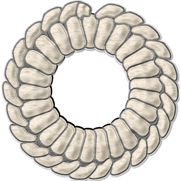 SVG Grommet Sampler