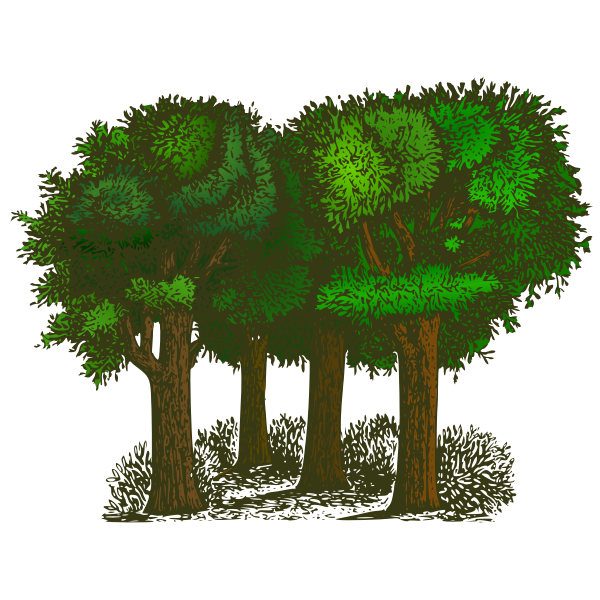 SVG Group of trees