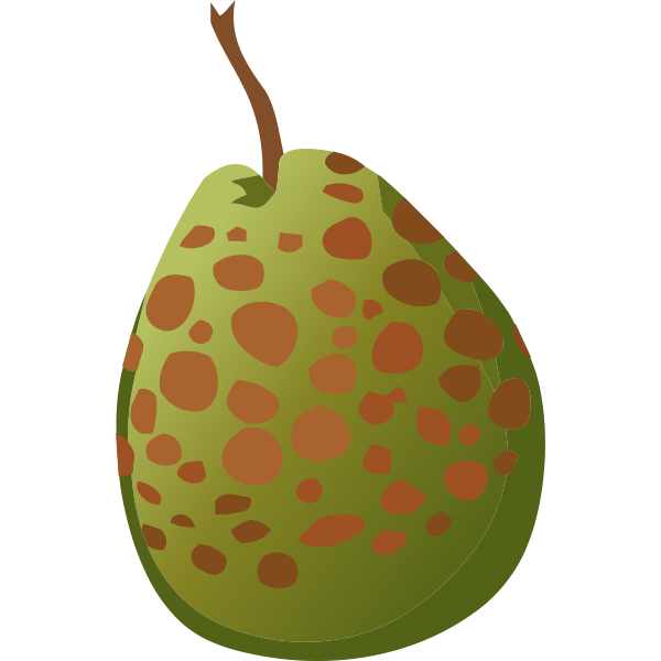 SVG Guava spotted