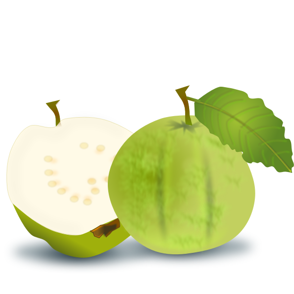 SVG Guava vector image