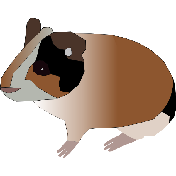 SVG guinea pig