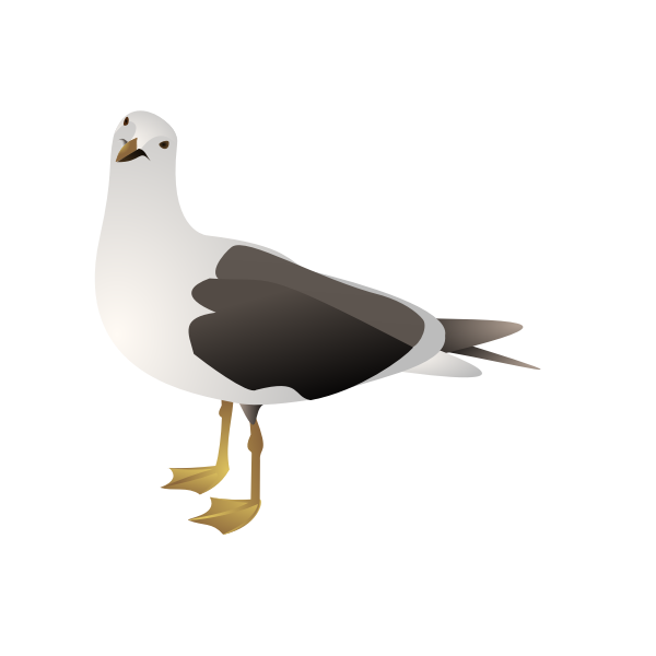 SVG gull marcelo staudt 01