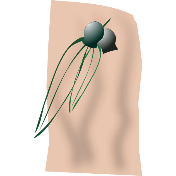 SVG gumleaves