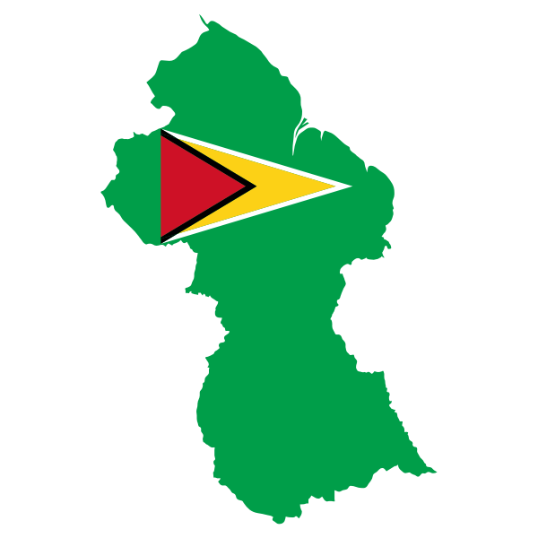 SVG Guyana039s flag