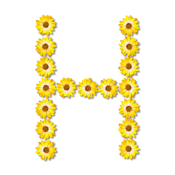 SVG H made with flowers