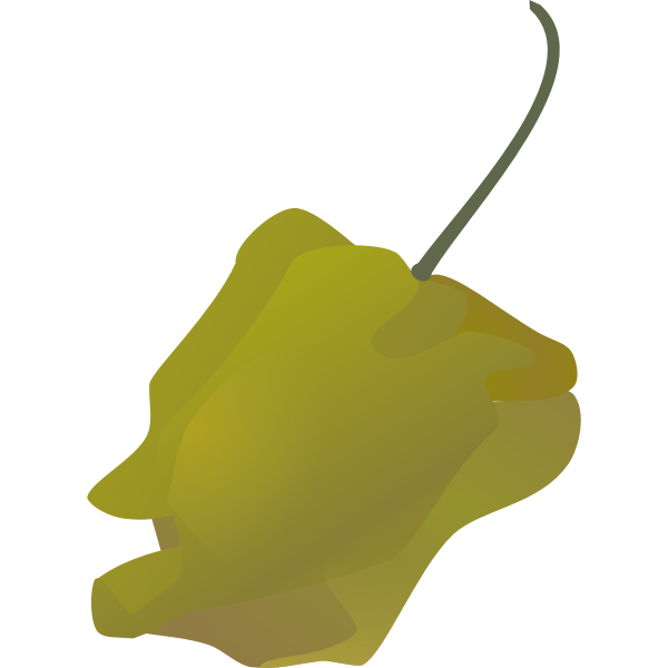 SVG habanero pepper simple