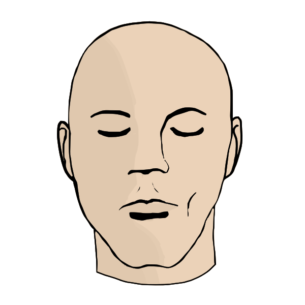 SVG Hairless head and face