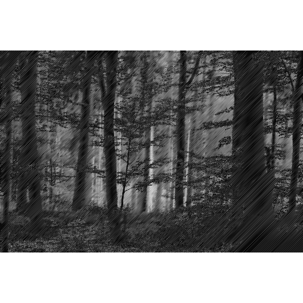 SVG Halftone forest