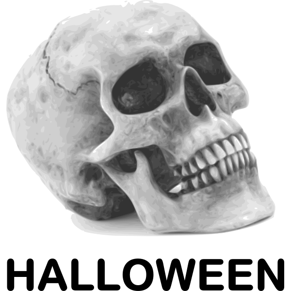 SVG Halloween skull vector image